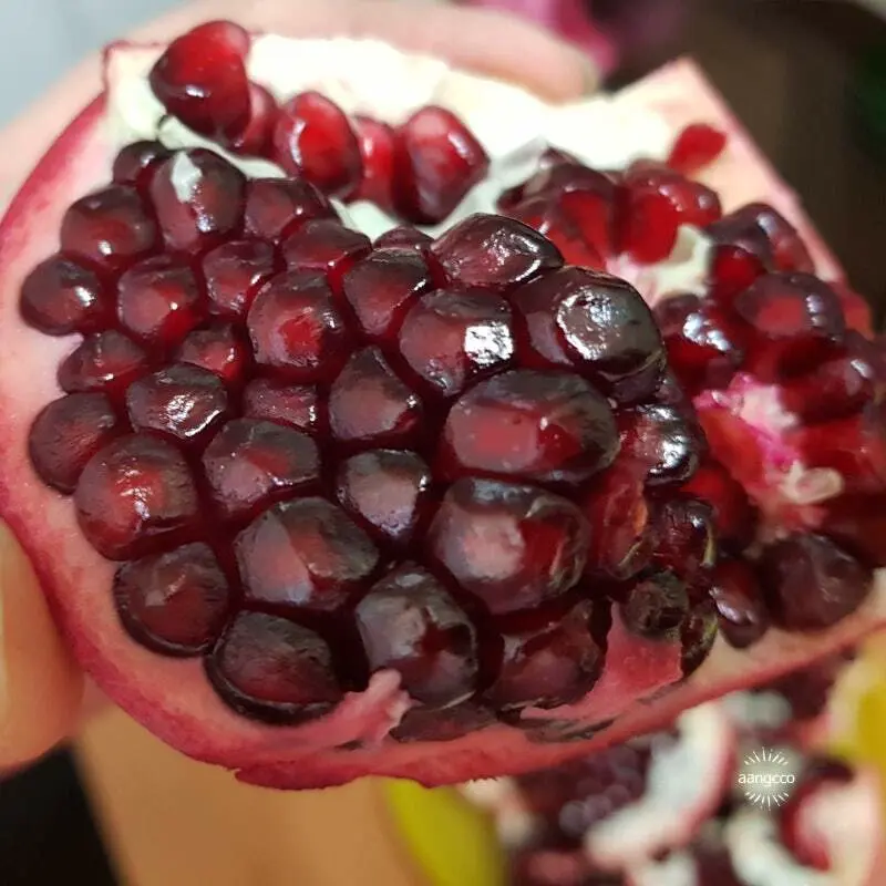 Panier de fruits bio du Maroc selon les saisons